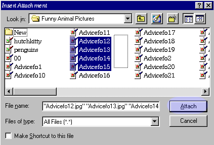 Tutorial: Insert Attachment - Select file(s)